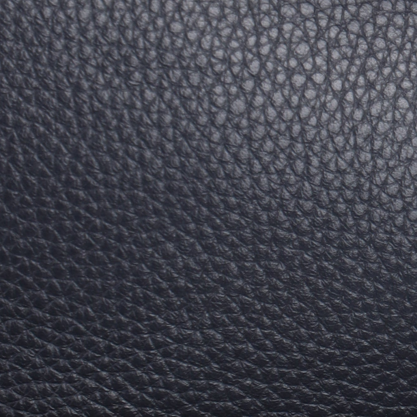 Close-up of a black leather bag with a brand logo on a white background